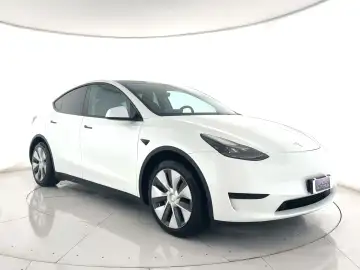 Model Y Single Motor rwd AUTOPILOT+C.19"
