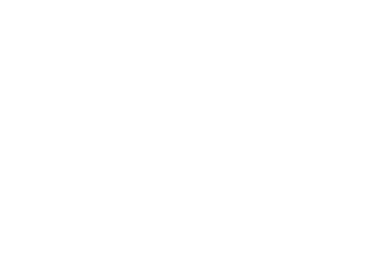 smart